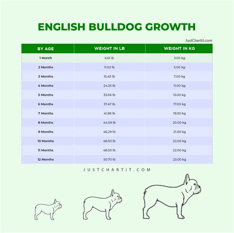 english bulldog weight chart kg|old english bulldog female weight.